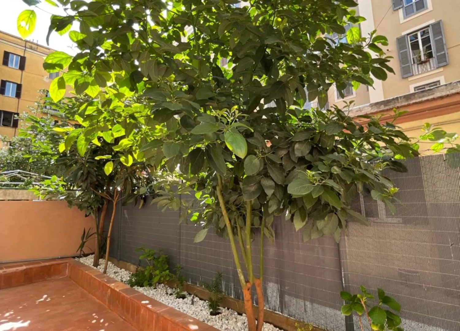 Avocado House - Cozy Apartment In The Heart Of Rome
