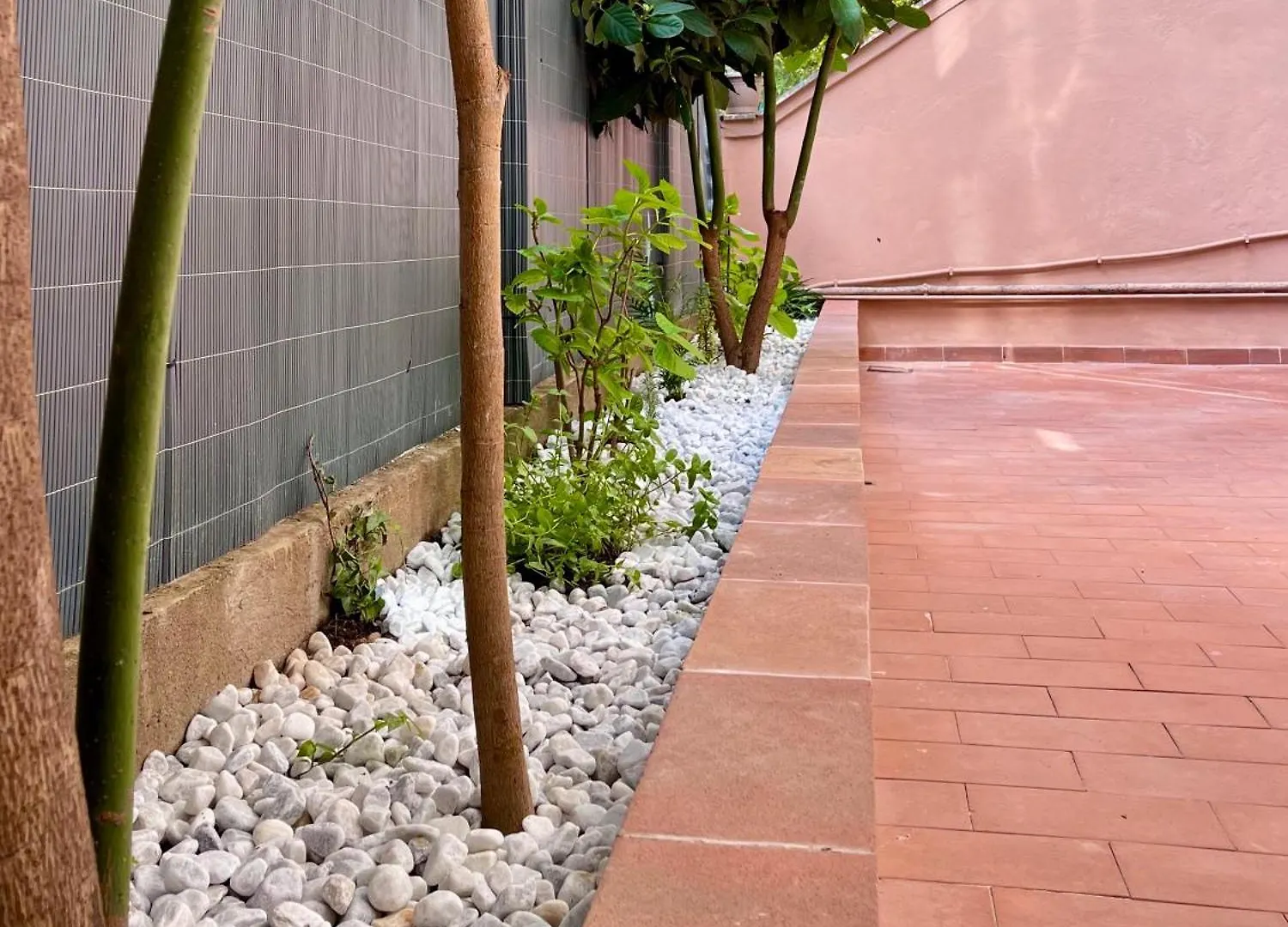 Avocado House - Cozy Apartment In The Heart Of Rome