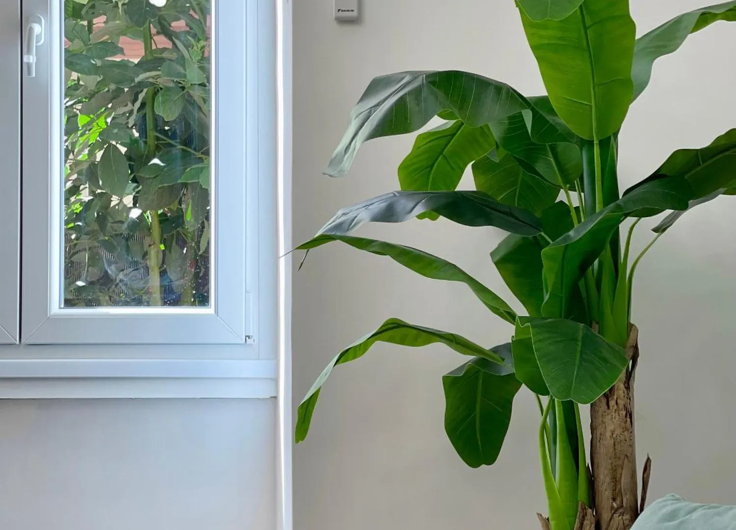 Avocado House - Cozy Apartment In The Heart Of Rome