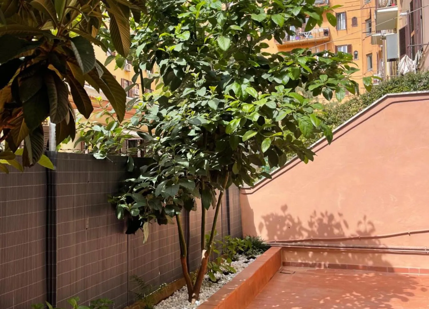 Avocado House - Cozy Apartment In The Heart Of Rome 0*,